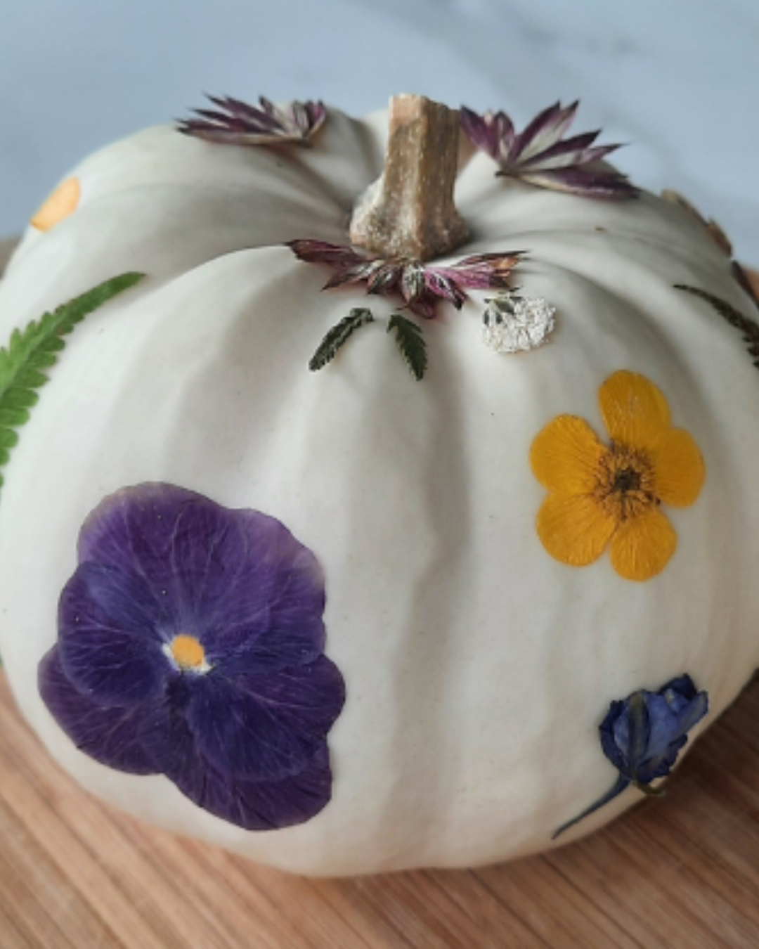 Week-end Halloween aux serres