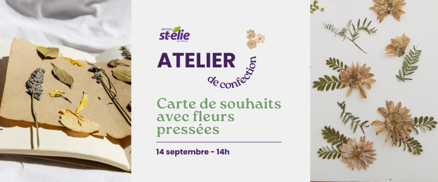 Évènement_Atelier : Initiation au pressage de fleurs et création carte de souhaits_ Serres St-Élie