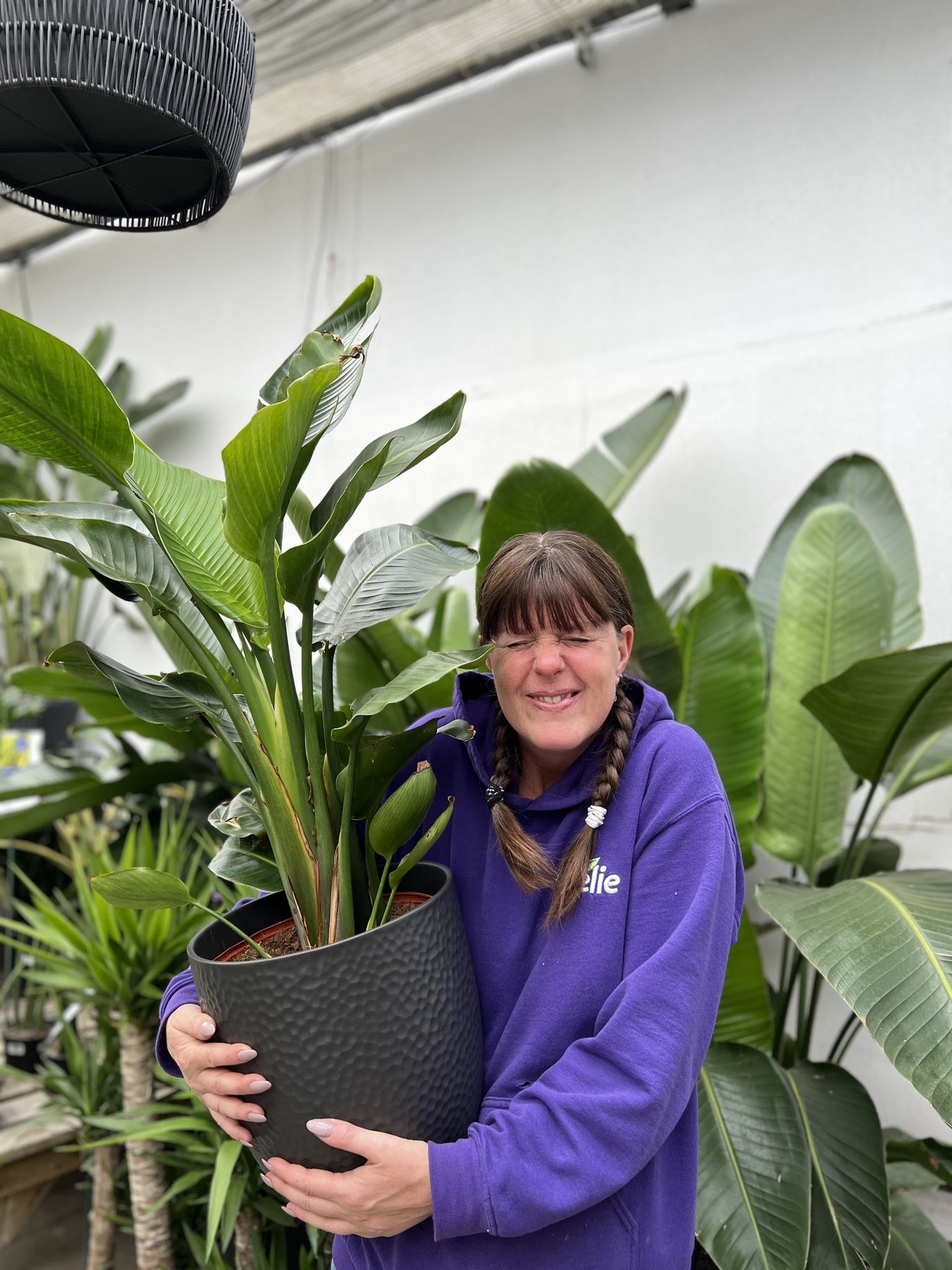 Confection pot extérieur_ D'été