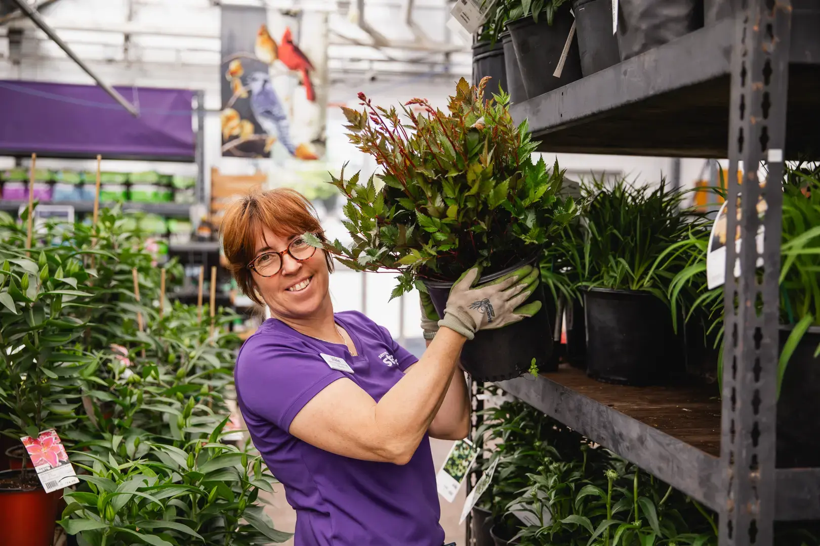 Serres St-Élie_Serres de Production_Végétaux_Fleurs annuelles_Recrutement et emploi