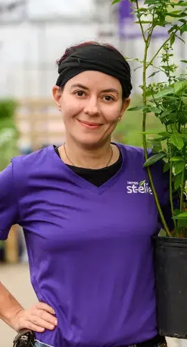 Serres St-Élie_Serres de Production_Végétaux_Fleurs annuelles_Rendez-vous vert