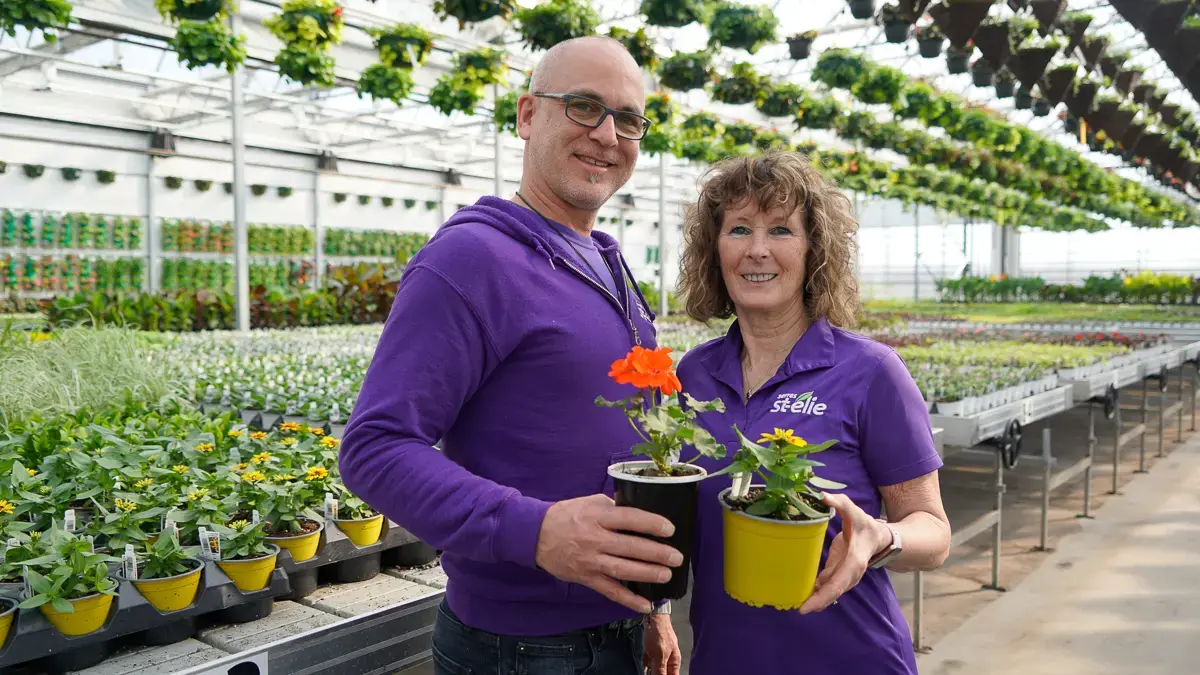 Serres St-Élie_Serres de Production_Végétaux_Fleurs annuelles_Consultation rendez-vous vert