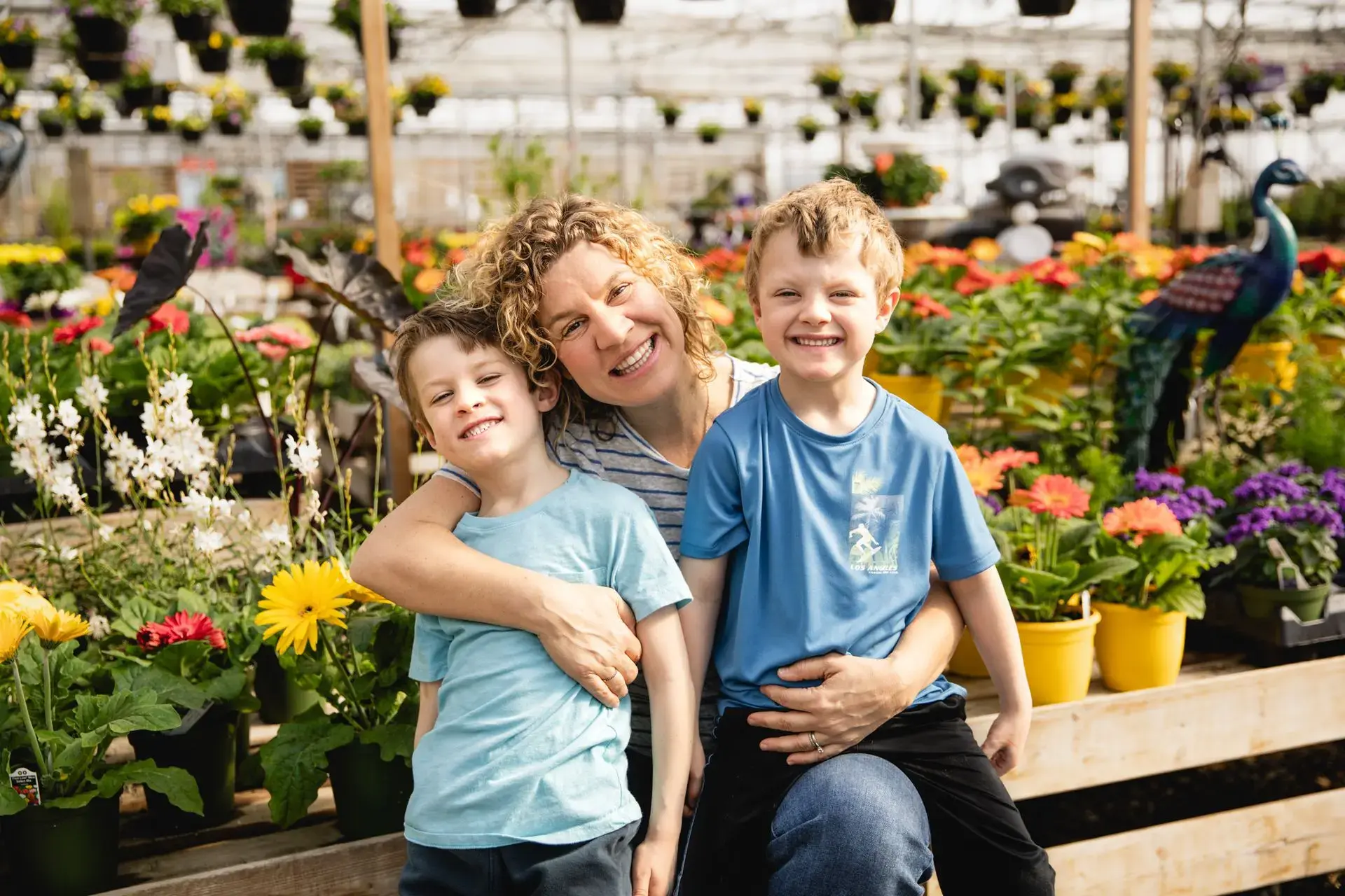 Serres St-Élie_À propos de nous_Centre de production_Horticulture_Fleurs et Végétaux_Mélanie Grégoire