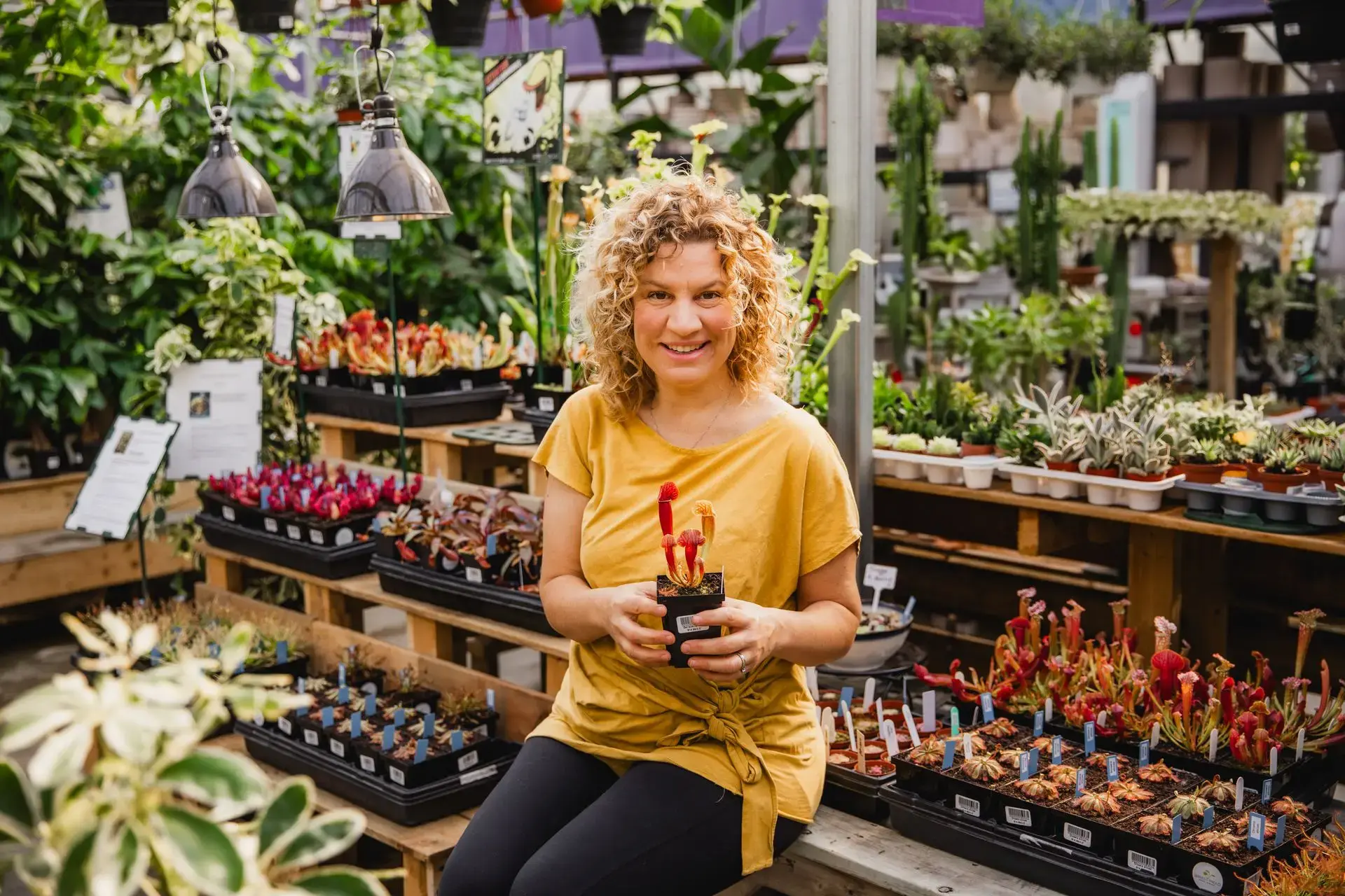 Serres St-Élie_À propos de nous_Centre de production_Horticulture_Fleurs et Végétaux_Mélanie Grégoire