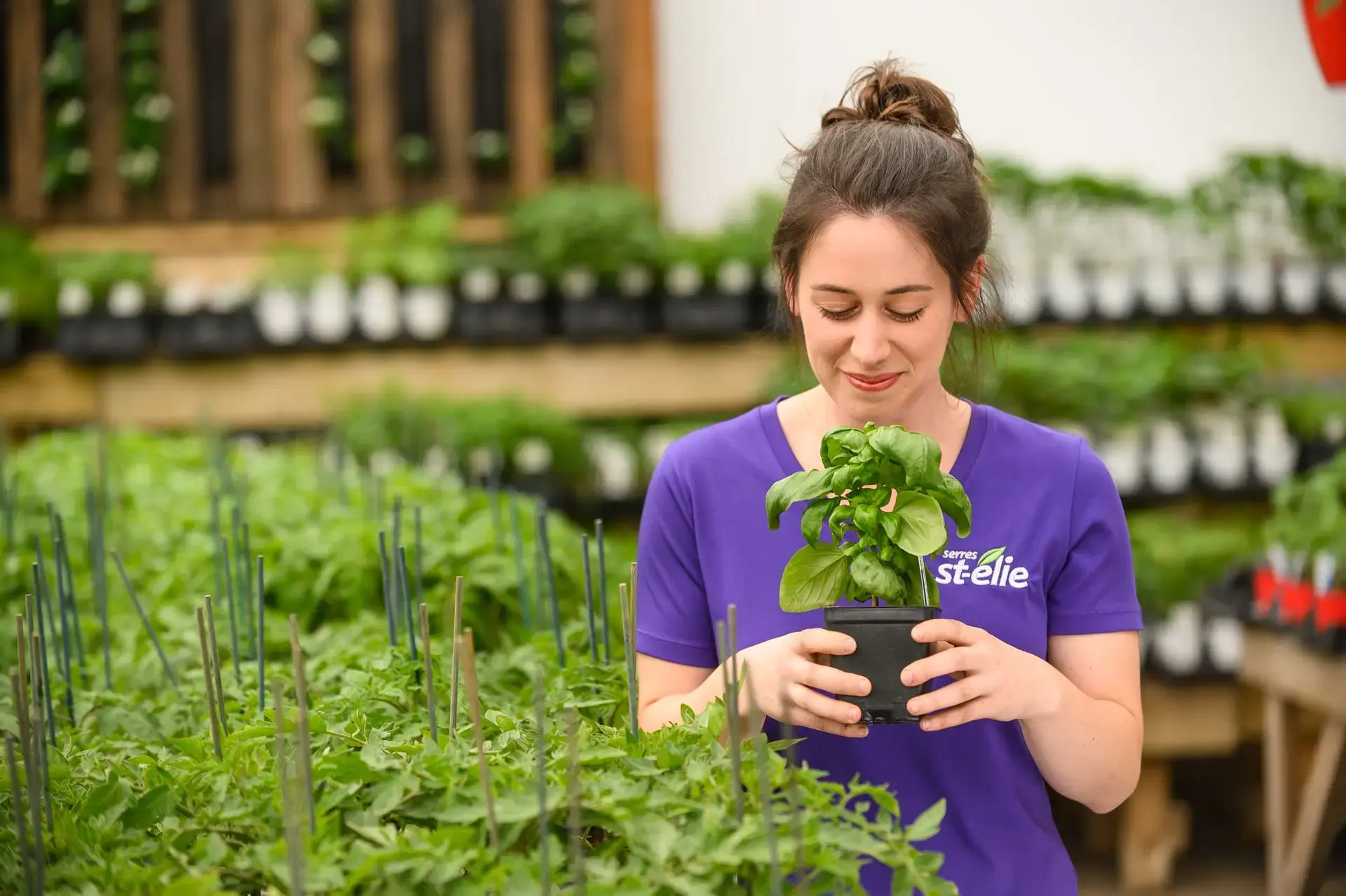 Serres St-Élie_À propos de nous_Centre de production_Horticulture_Fleurs et Végétaux