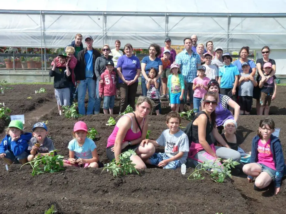 Serres St-Élie_À propos de nous_Centre de production_Horticulture_Fleurs et Végétaux