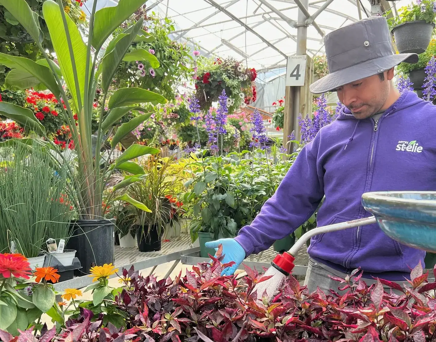 Serres St-Élie_Politique de confidentialité_Site web 