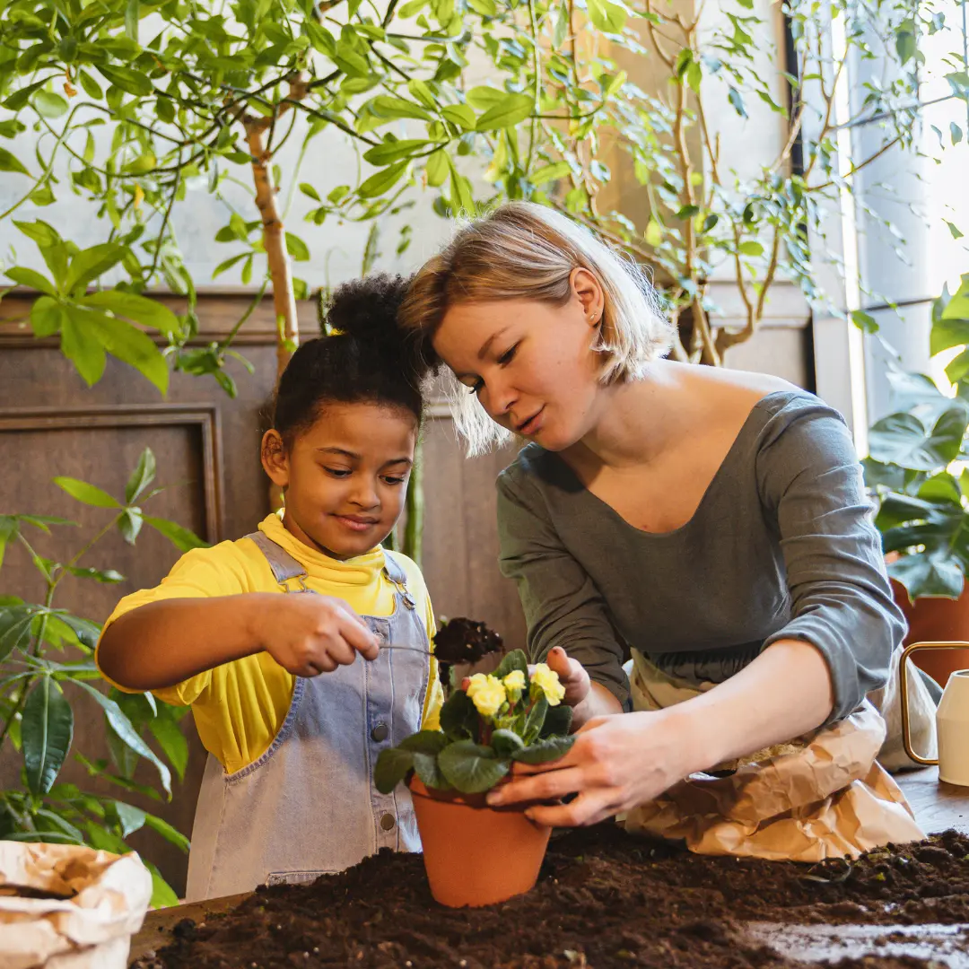 Salon de la violette africaine