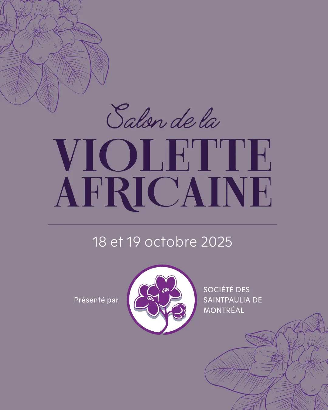 Salon de la violette africaine