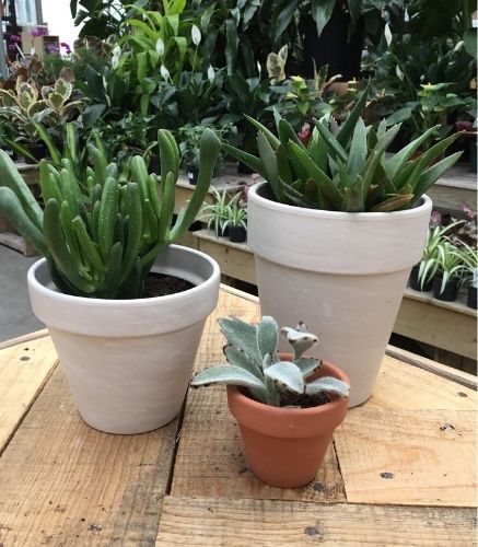 Produit_Pot de terre cuite_Grès_Plantes d'intérieur Produit_Pot de terre cuite_Grès_Plantes d'intérieur