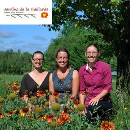 Clarico-3 Columans Style 1