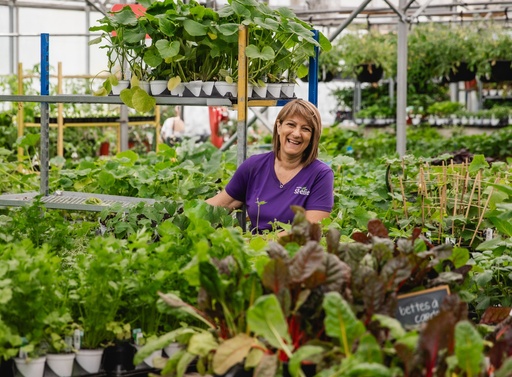 Rendez-vous vert - Aménagement d'un potager